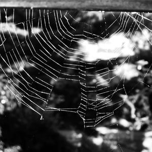 Meet your Posher, Jen